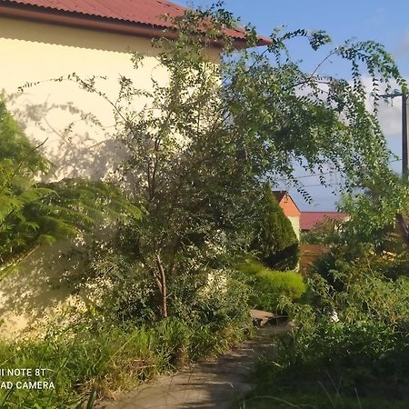 Petit Appartement Dans Une Maison Individuelle Le Tampon Buitenkant foto