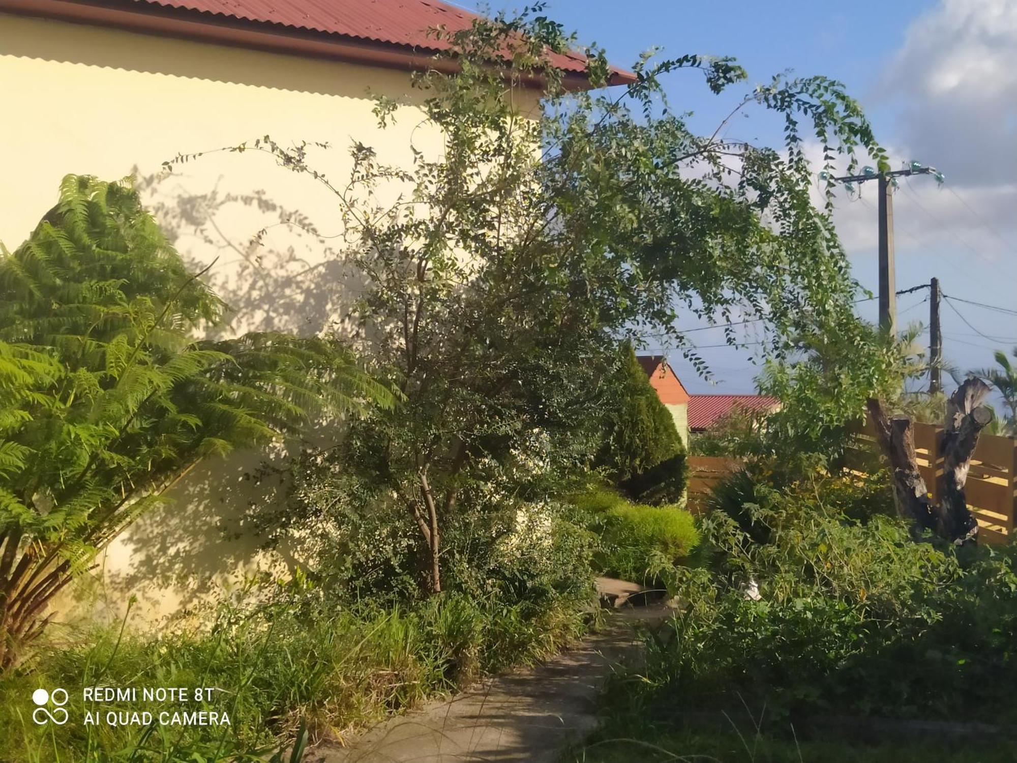 Petit Appartement Dans Une Maison Individuelle Le Tampon Buitenkant foto